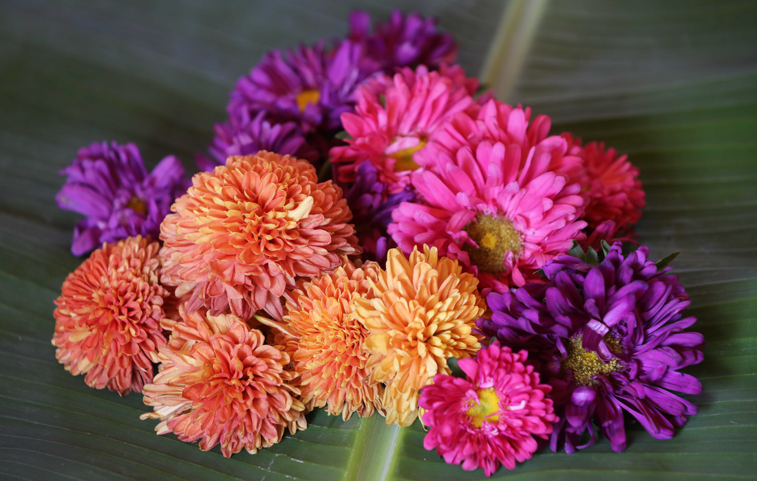 Pooja Flowers: Why Only Fresh Blooms Matter & What NOT to Offer