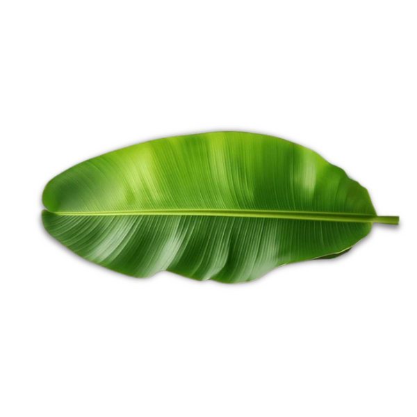 Banana Leaves