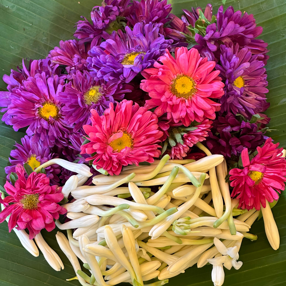 Mixed Aster & Rajnigandha