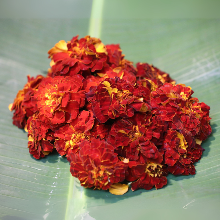Kapri