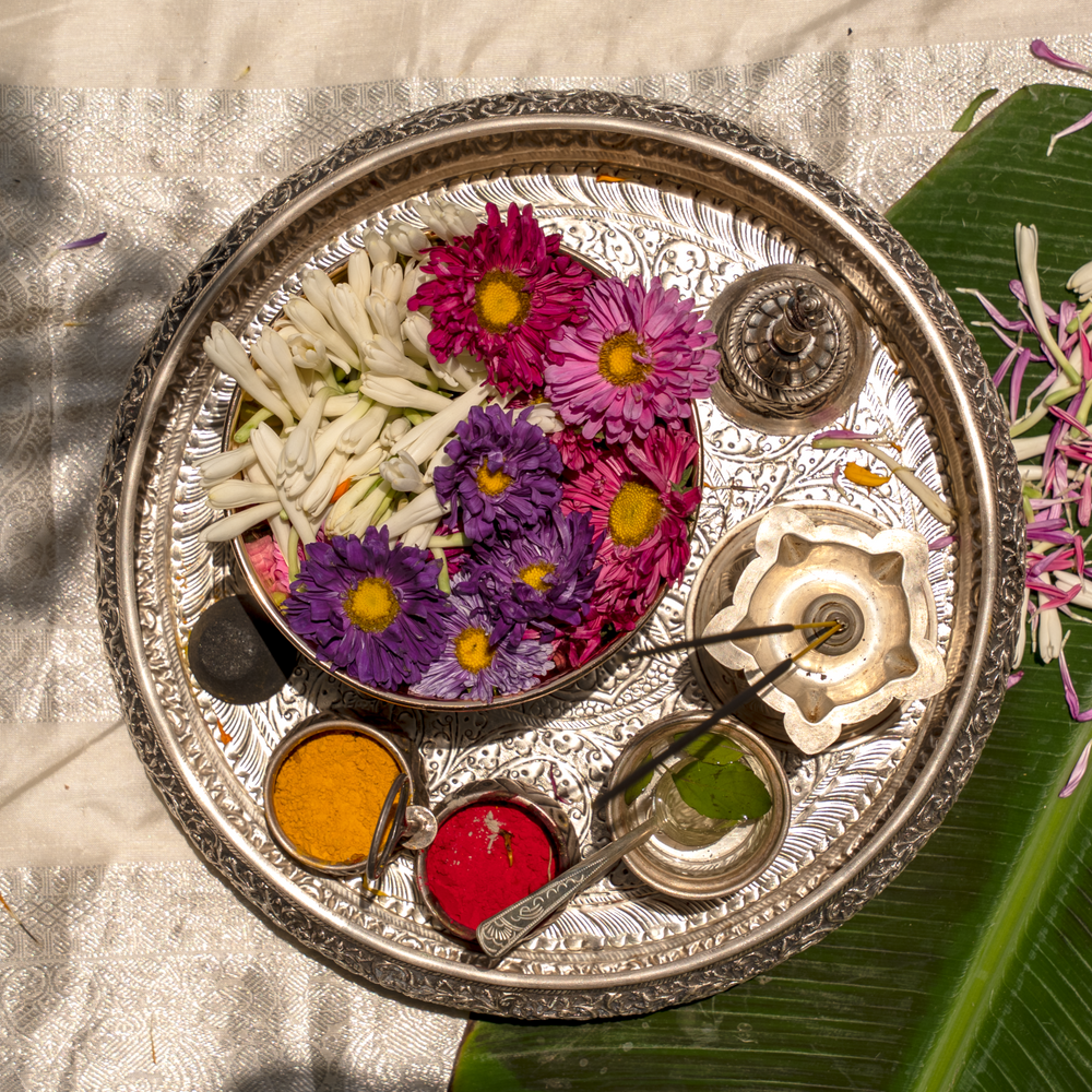 Mixed Aster & Rajnigandha
