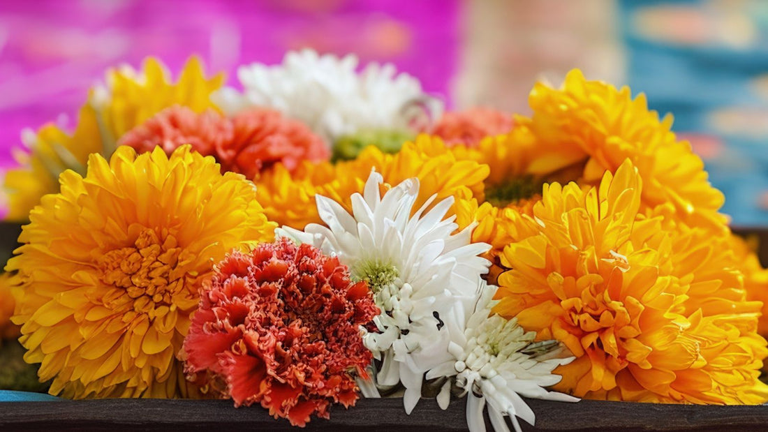 Where to Find the Freshest Flowers in Pune: Complete Guide