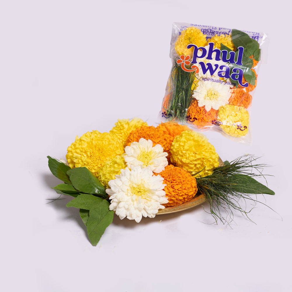 Mixed Marigold & Shevanti