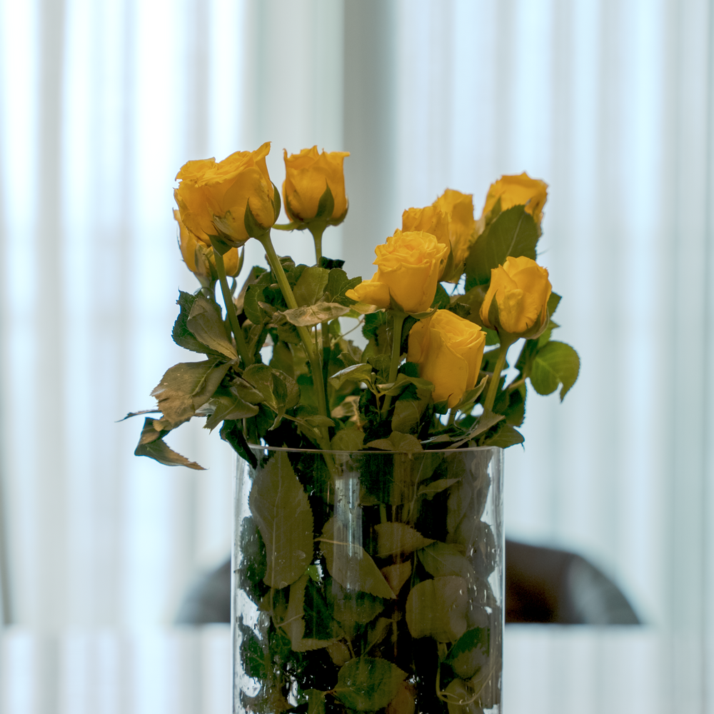 Rose Flower