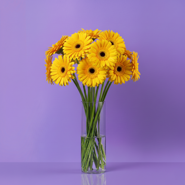 Gerbera Yellow
