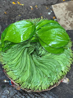 Mango Leaves Bunch