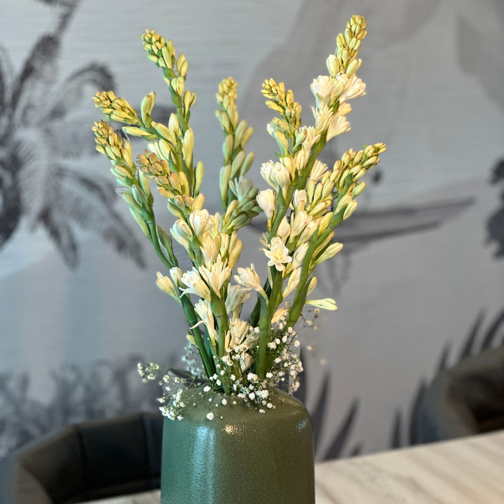 Tuberose (Rajniganda) [Bunch]