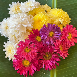 Mixed Marigold & Shevanti