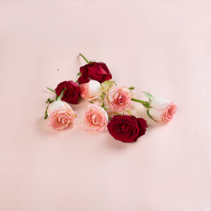 Mixed Roses
