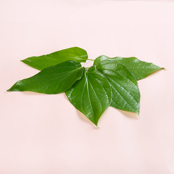 Pan Leaves
