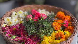 Mixed Bag of Assorted Flowers