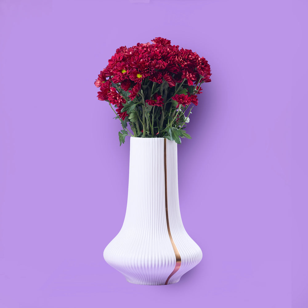 Regular Chrysanthemum