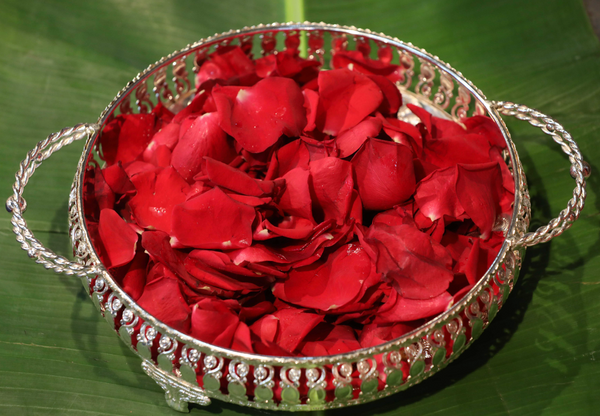 Rose Petals