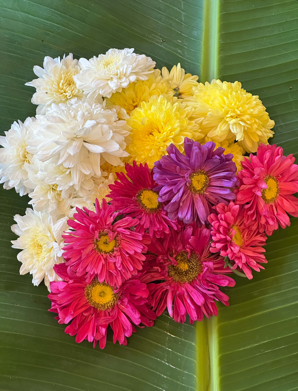 Mix Flowers (Marigold, Aster, and Shevanti)