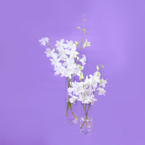 Orchid White