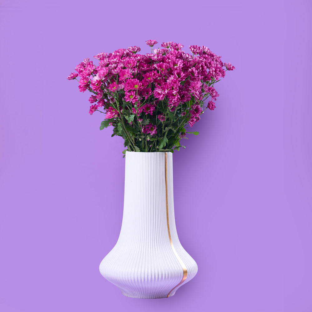 Regular Chrysanthemum