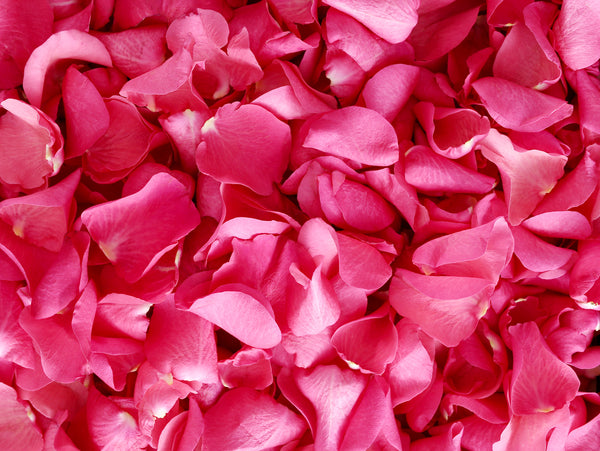 Rose Petals